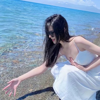 特禽鲨龙